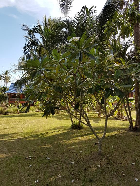 באן תאי Bor Hin Resort מראה חיצוני תמונה